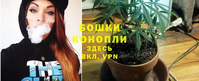 Канабис SATIVA & INDICA  где найти   Томмот 